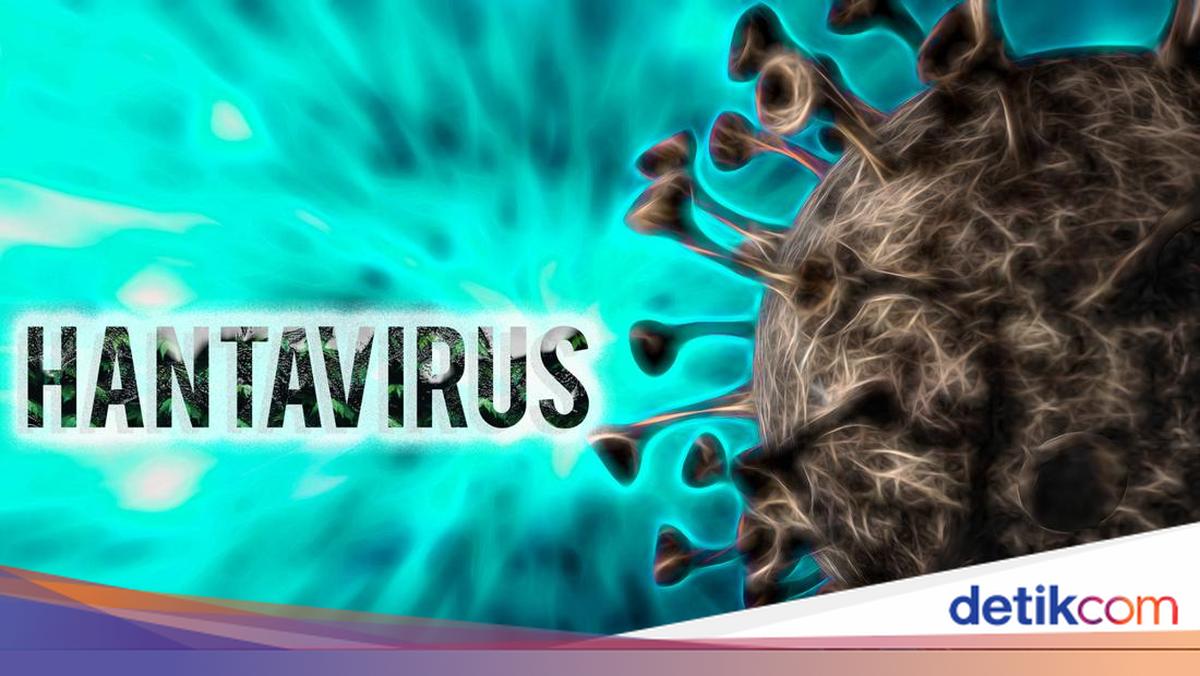 Prevent Hantavirus: Bali's Entry Points Tightened