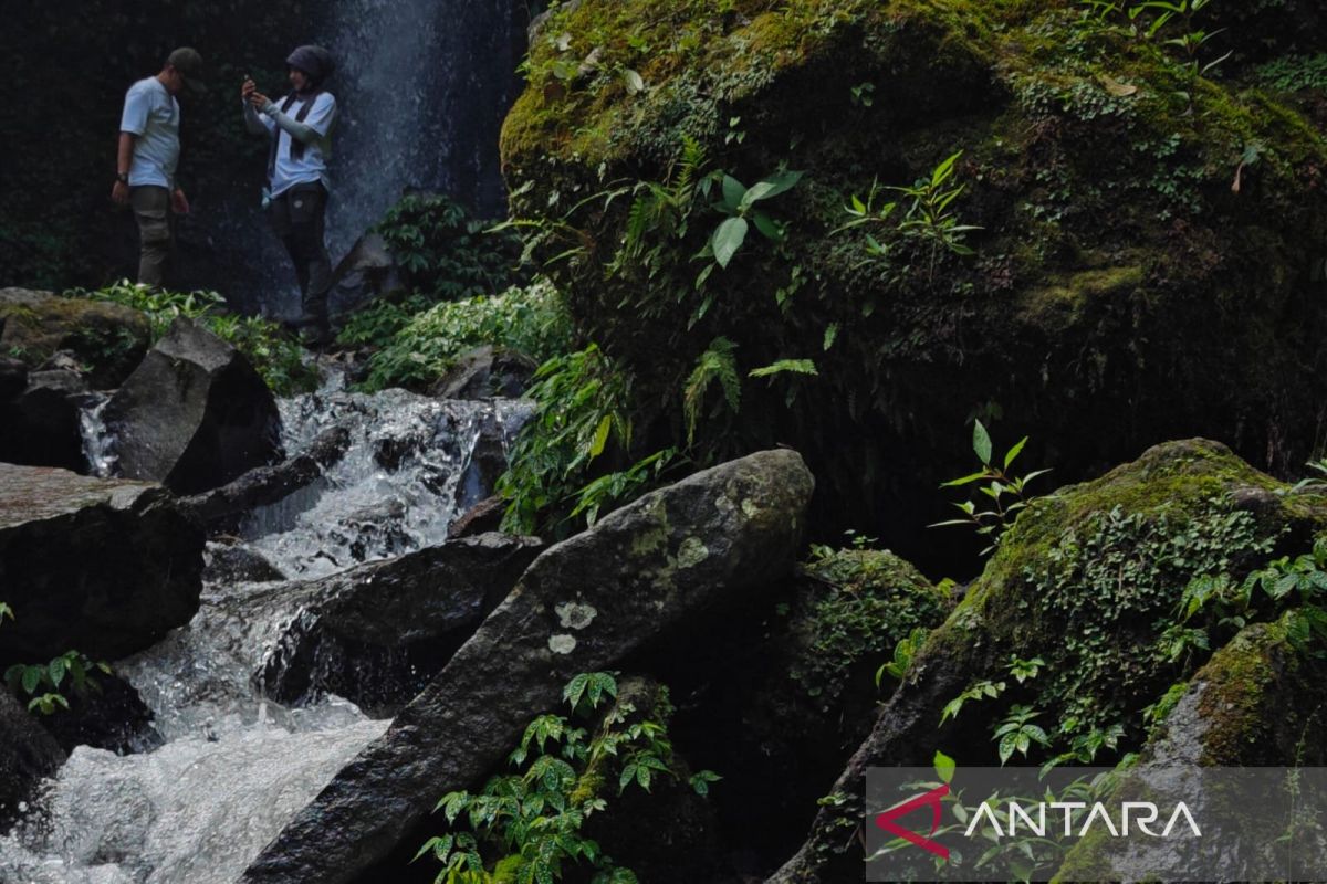 Ministry of Forestry Safeguards Mount Ciremai National Park's Role as West Java's "Water Tower"