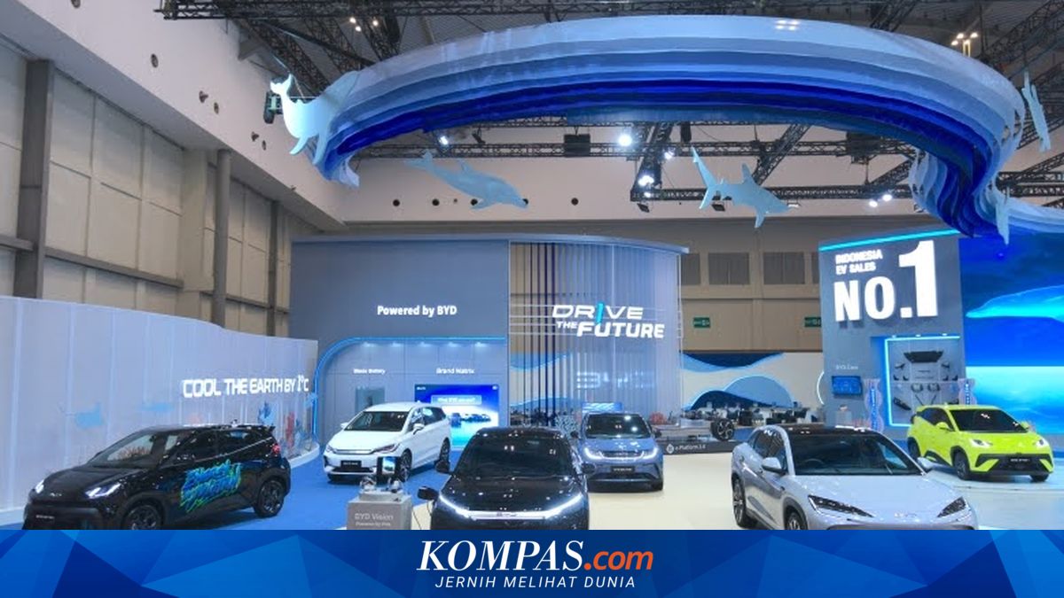 Nickel Battery Electric Vehicles to Receive Larger Incentives, BYD's Response