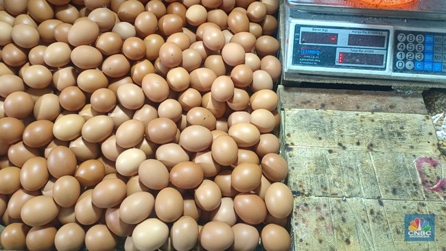 After Egg Prices Plunge, Ministry of Agriculture Urges MBG to Include More Egg Menus