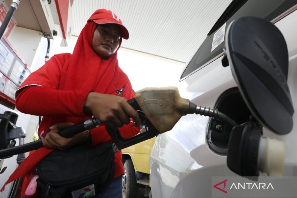DEN states that restricting subsidised fuel could save up to 15 percent in volume