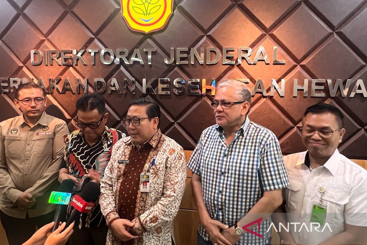 Ministry of Agriculture and National Food Agency Stabilise Falling Chicken Egg Prices at Farmer Level