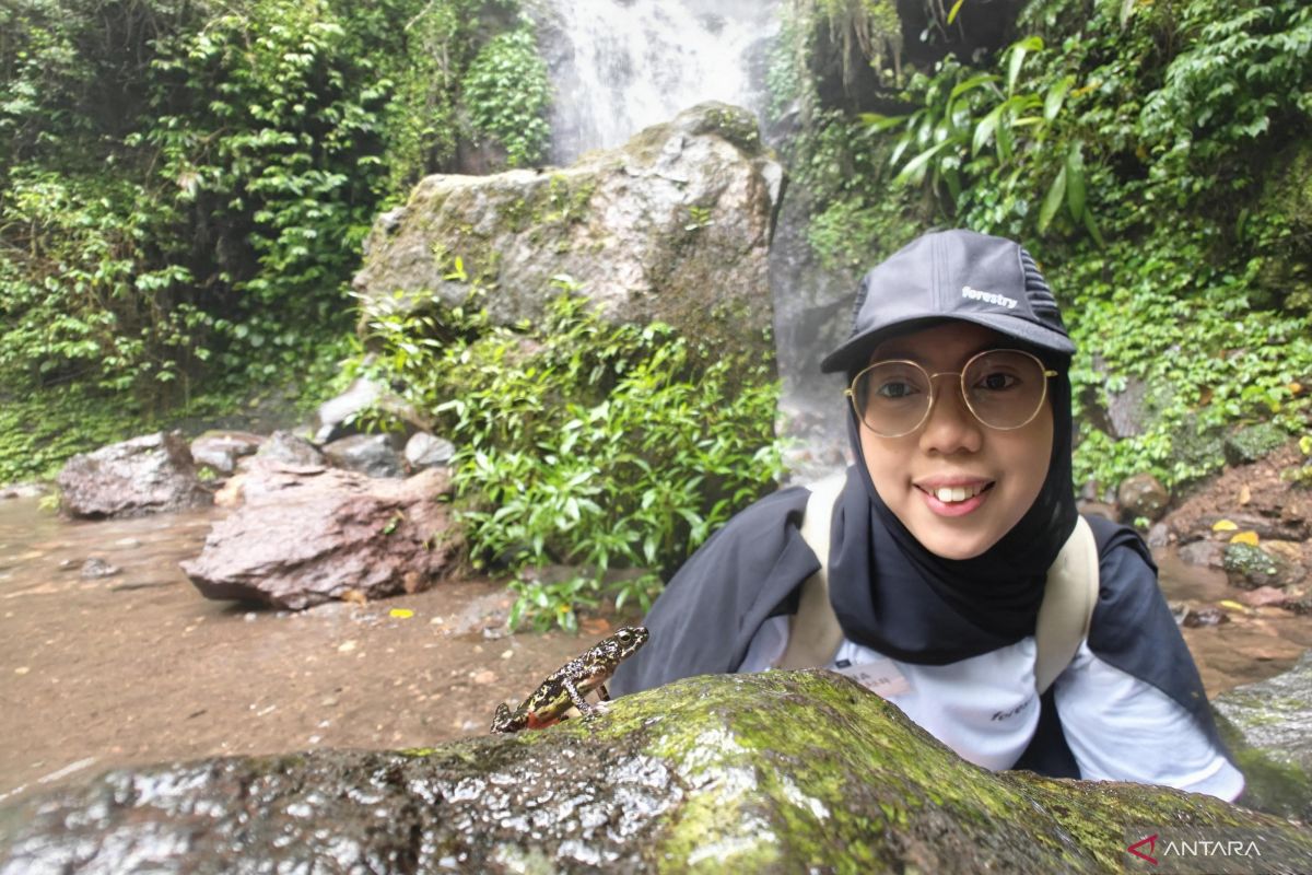 Ministry of Forestry Introduces Red Frog as Environmental Health Indicator in Gunung Ciremai National Park