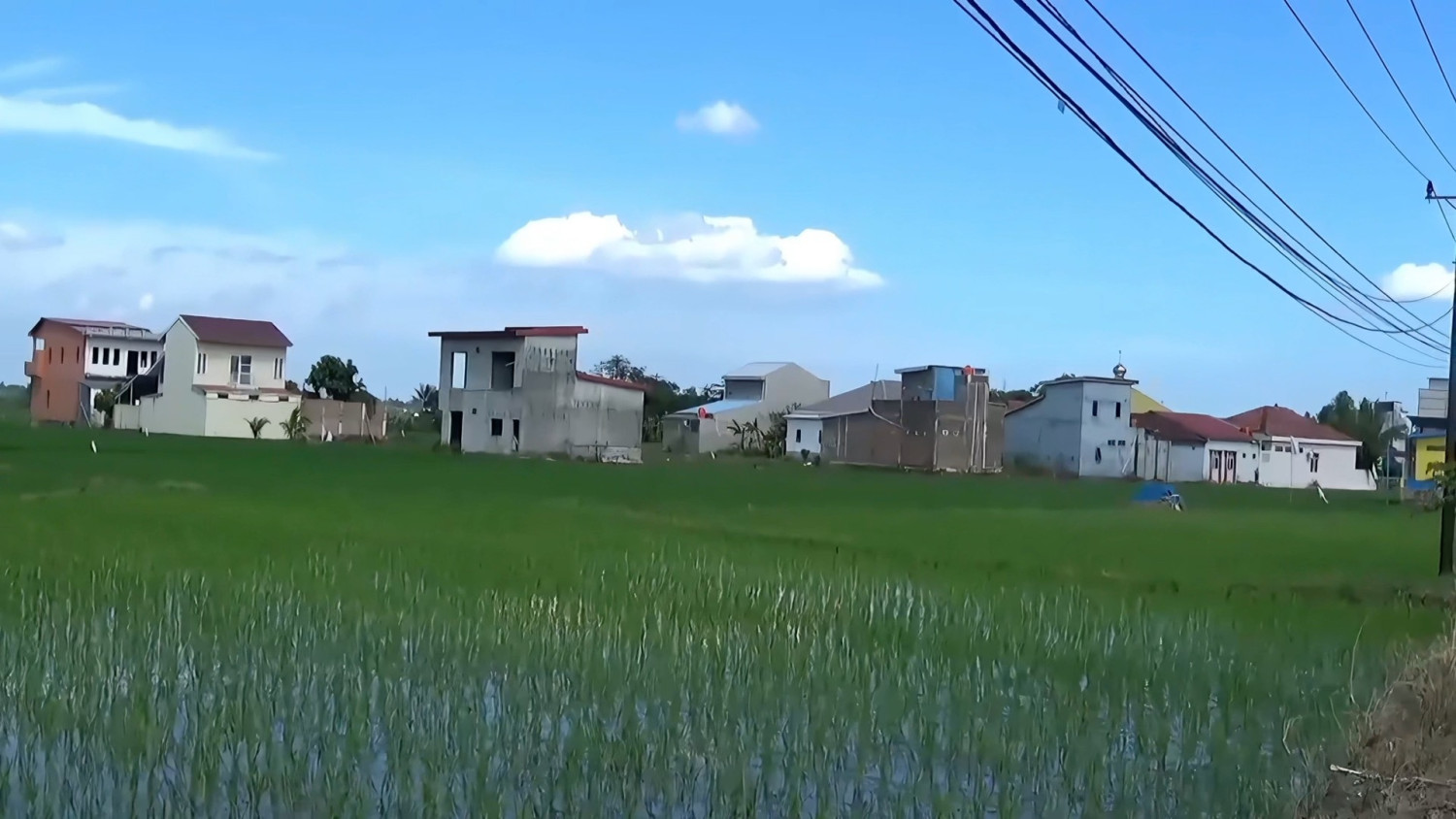 Maros strives to maintain agricultural productivity amid shrinking paddy fields
