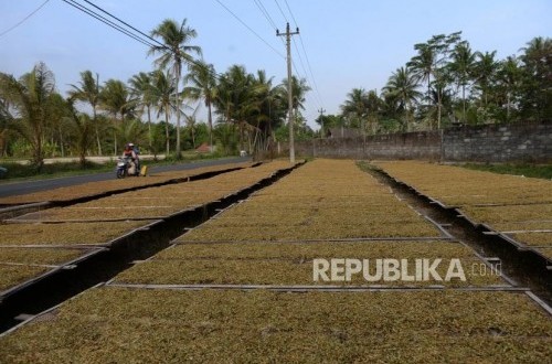Finance Minister Purbaya Urged to Realise Madura Tobacco SEZ