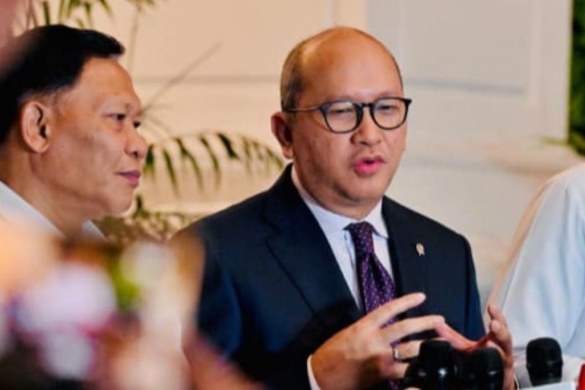 Rosan: Danantara opens opportunities for acquiring Eramet shares in Weda Bay
