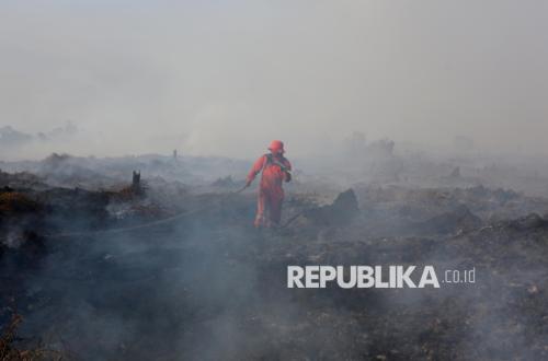 El Niño 2026: Global Wildfires Expected to Reach Worst Record in History