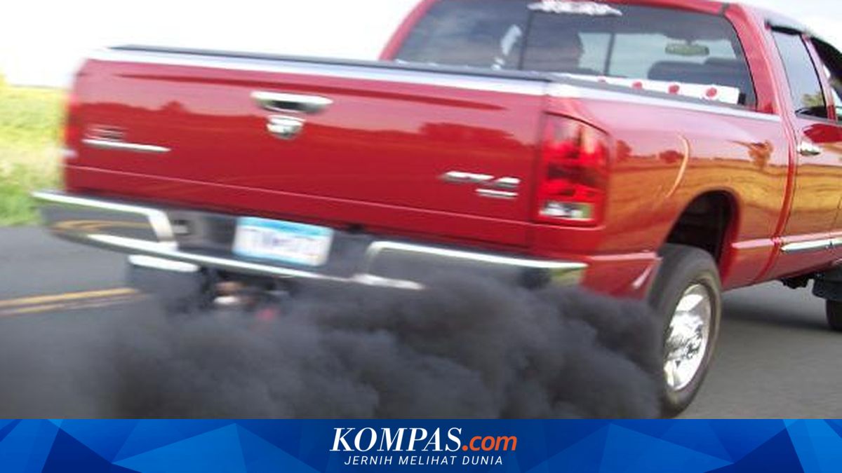 Impact of Rising Diesel Prices, "Land Squid" Trend Begins to Fade