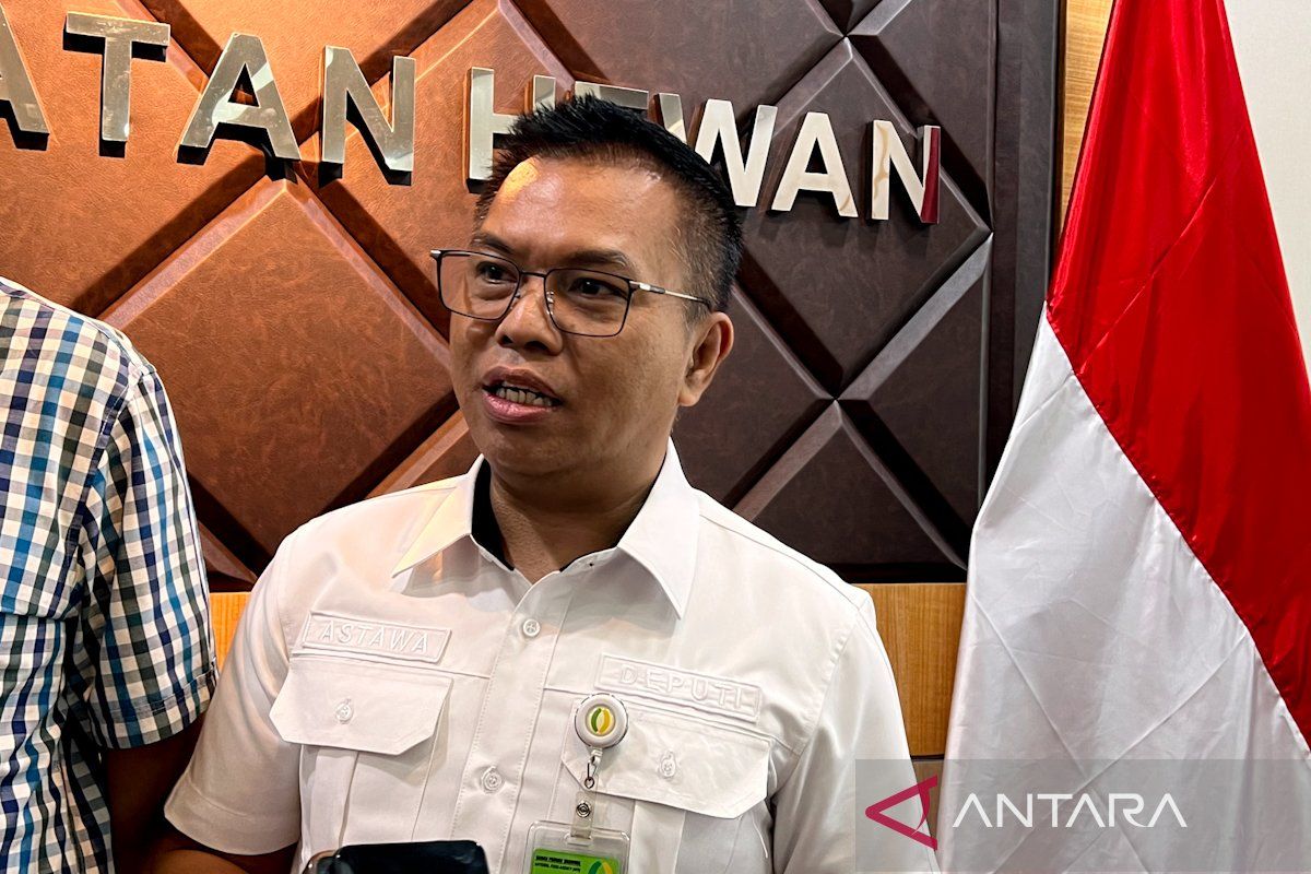 Bapanas: Supply of Bird's Eye Chillies Remains Stable, Prices Gradually Stabilising