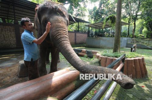 Mayor Promises Bandung Zoo Management Tender Winner to be Selected by End of May