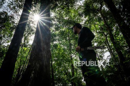 FAO Calls Indonesia the Most Strategic Forestry Partner