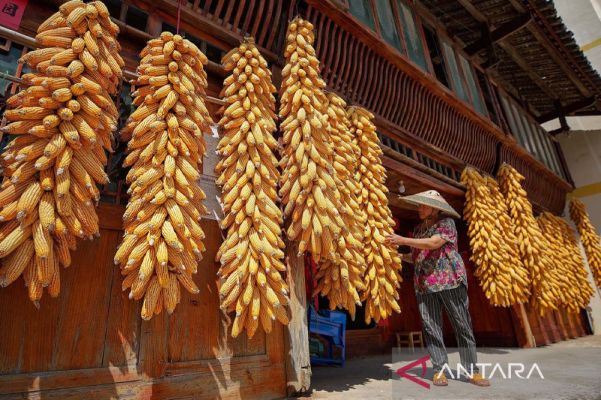 African and Asian Officials Call for Partnerships to Boost Rural Development