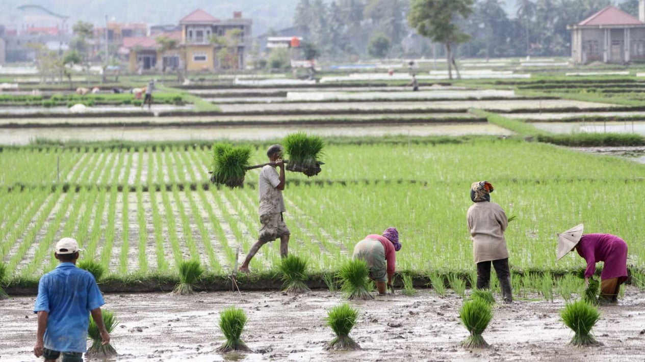 Climate Change Could Disrupt Food Prices, BI Strengthens National Synergy