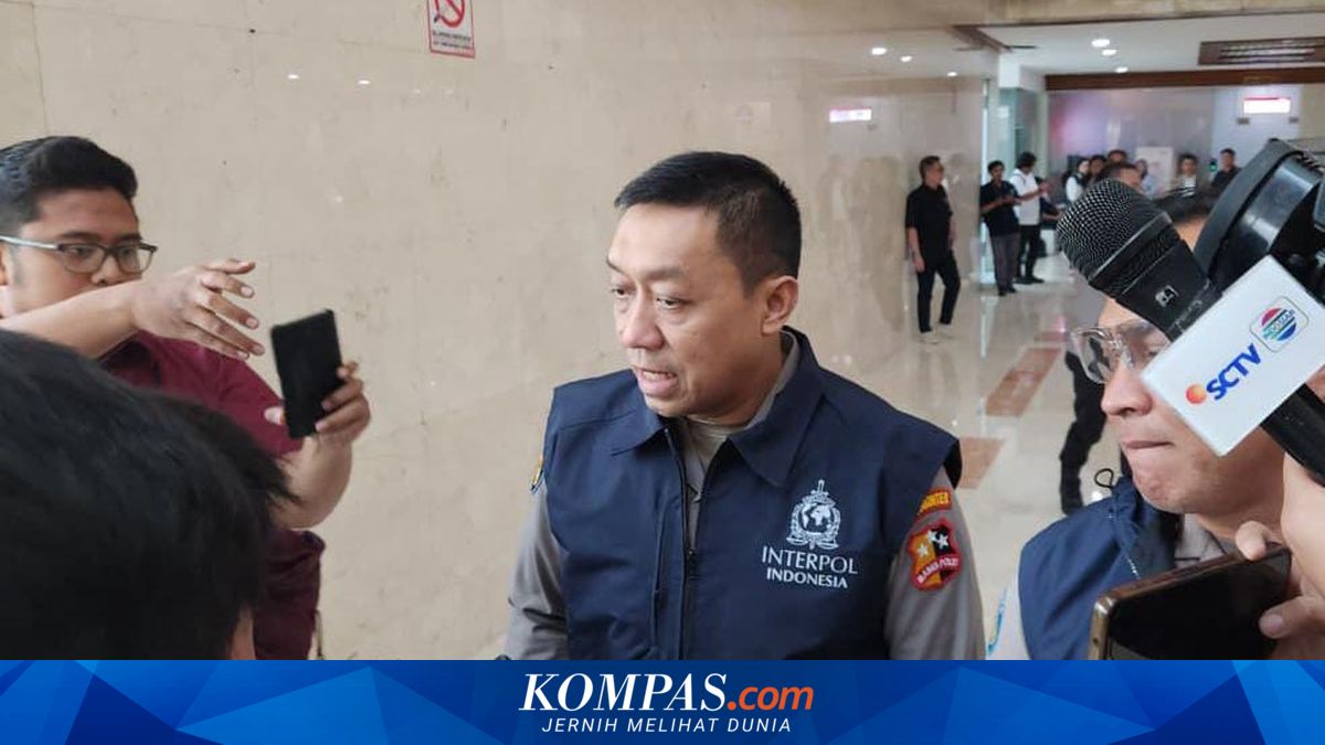 Police: Sexual Harassment Suspect Ahmad Al Misry Still in Egypt