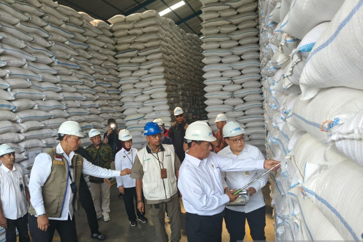 Indonesia records highest rice stocks in history: minister