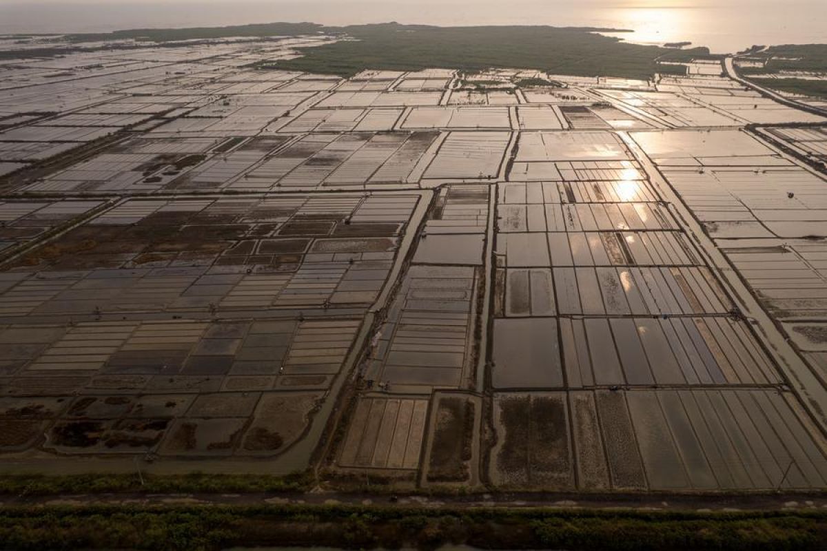 Struggles of Salt Farmers in Cirebon Facing Climate Change