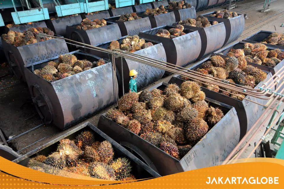 Indonesia Mulls Incentives for Palm Oil Investors