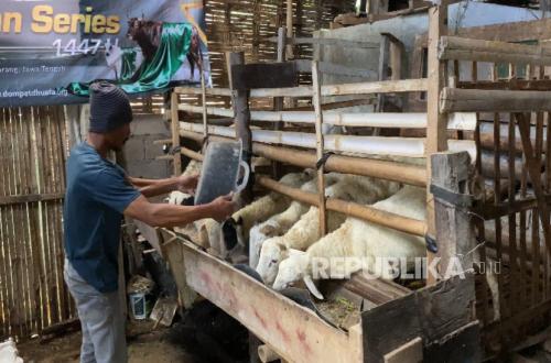 Success with Zakat Funds, Jantara Programme Ready to Supply Kurban for Dompet Dhuafa