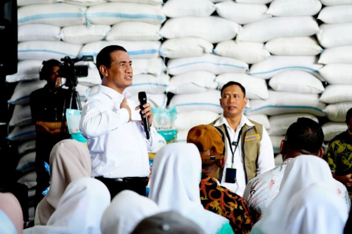 Bulog CEO: 5.3 Million Tonne Rice Stock Achieved Thanks to Cross-Sectoral Role