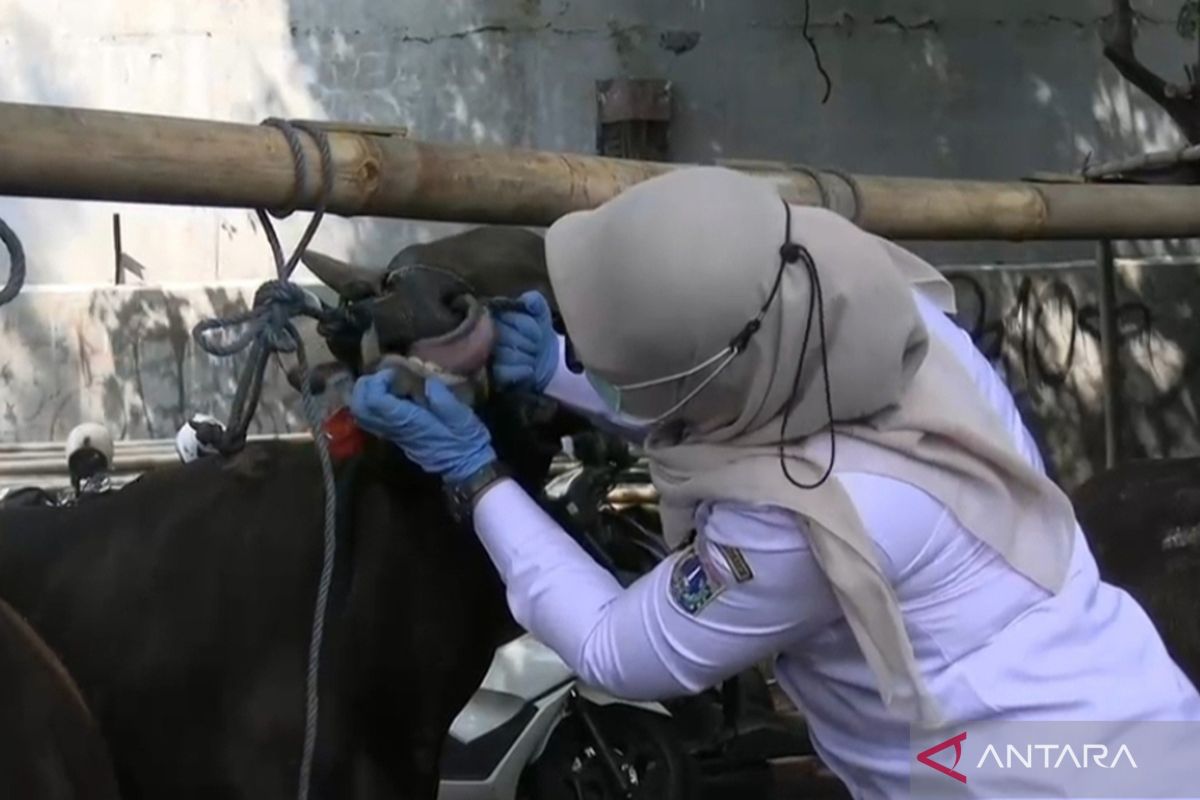 Ahead of Eid al-Adha, West Jakarta residents urged to implement eco qurban