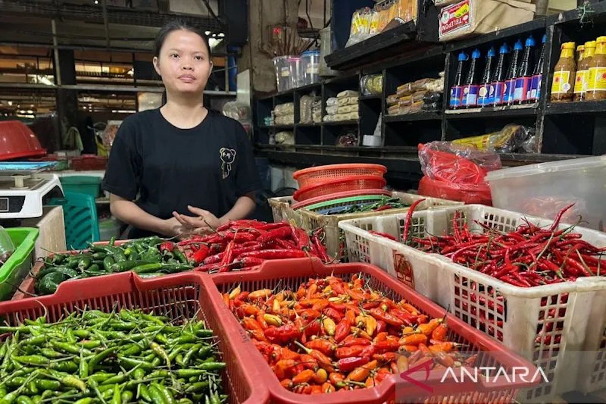 PIHPS: Bird's eye chilli price at Rp78,500/kg, chicken eggs at Rp33,950/kg