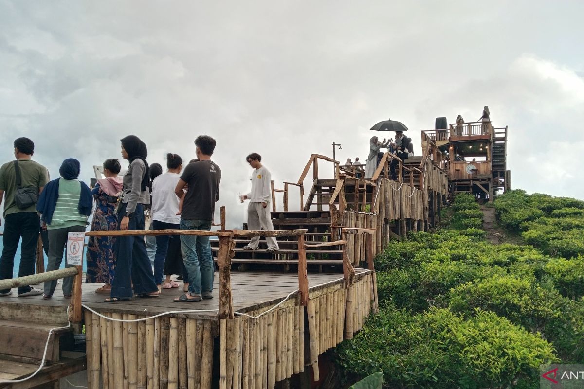 Mount Dempo Pagaralam Tourist Village Reopens