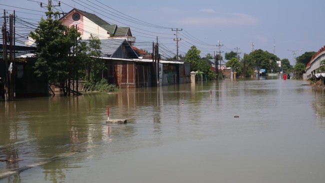 Java's North Coast Condition is Already Dire and Horrific, This Approach Could Be the Solution