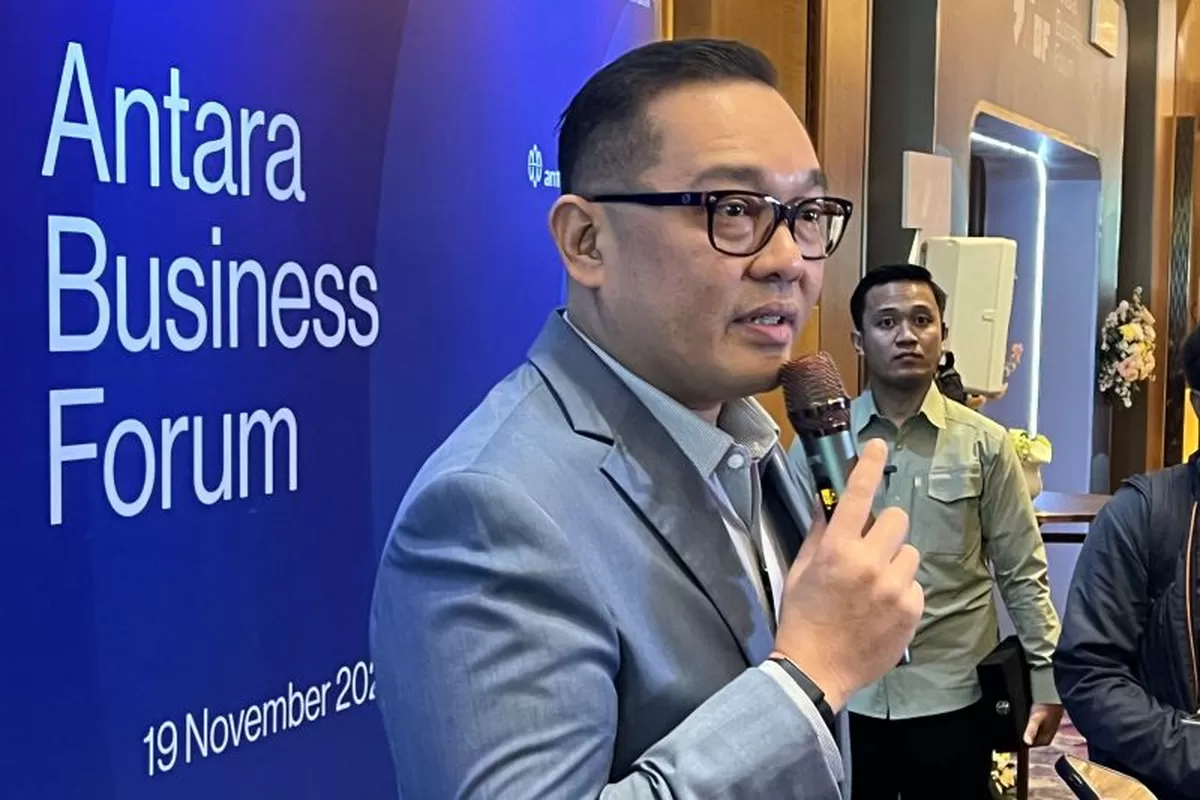 Chinese Chamber of Commerce's Concerns Prompt Letter to Prabowo, Deputy Minister of Investment: It's Normal