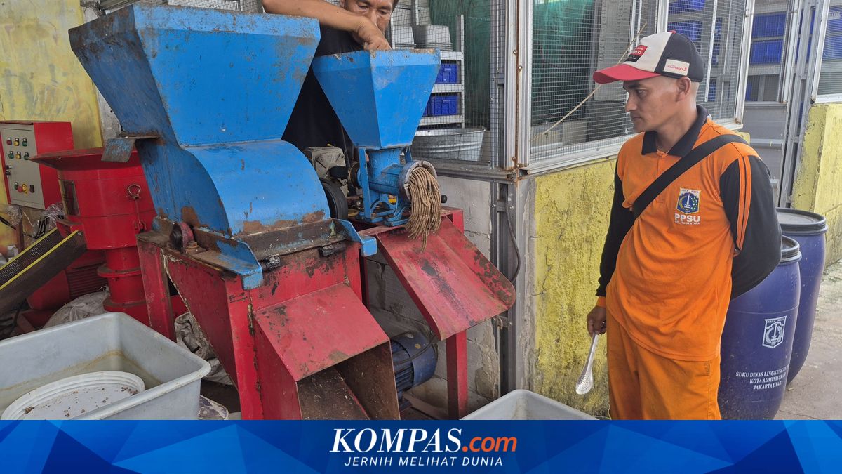 Once Piled Up and Discarded by the Roadside, Now It Can Generate Income