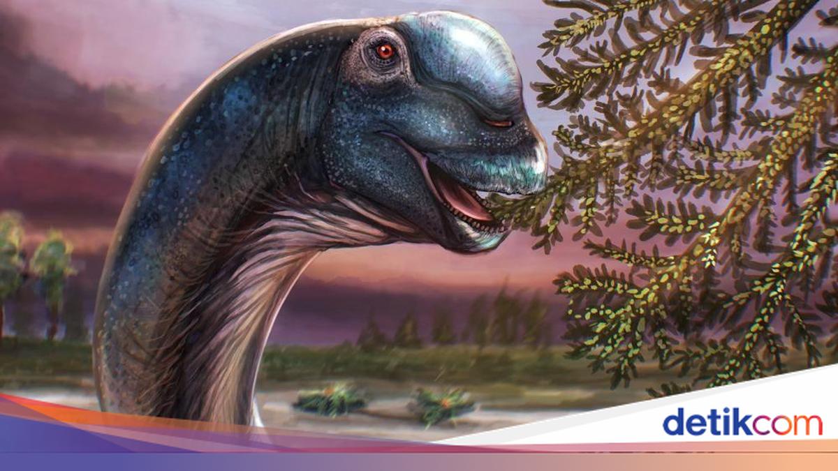 Giant Dinosaur Identified from Fossils in Thailand, Named Nagatitan