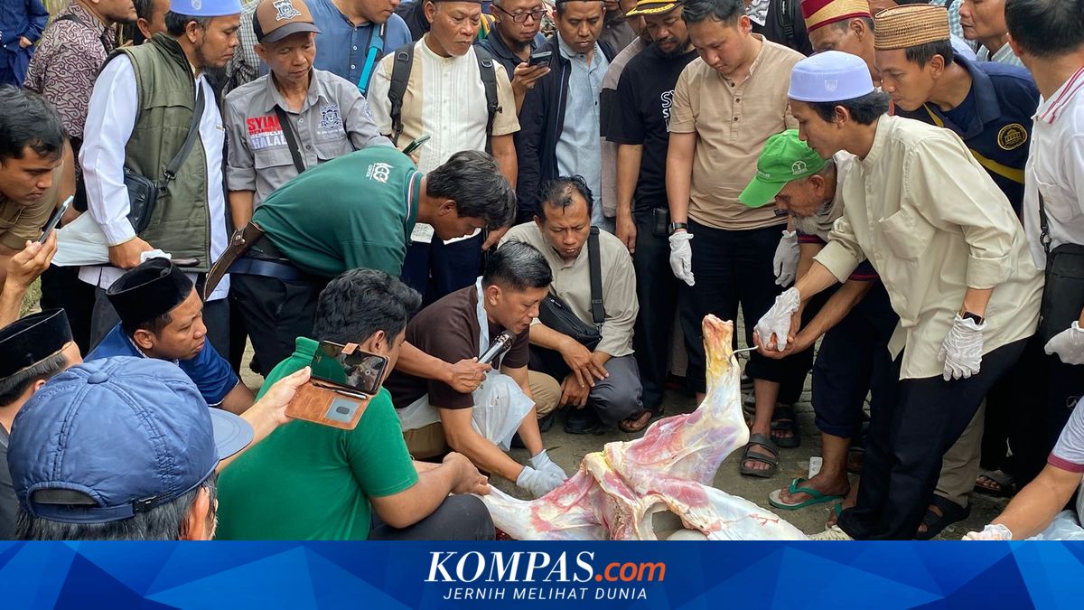 Halal Slaughterer: Ideally, Slaughtering a Cow Should Only Take 3 Seconds
