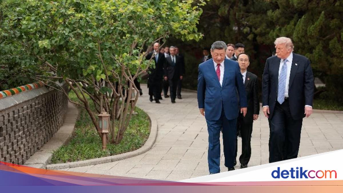 Trump Surprised as Xi Jinping Shows Him Centuries-Old Trees