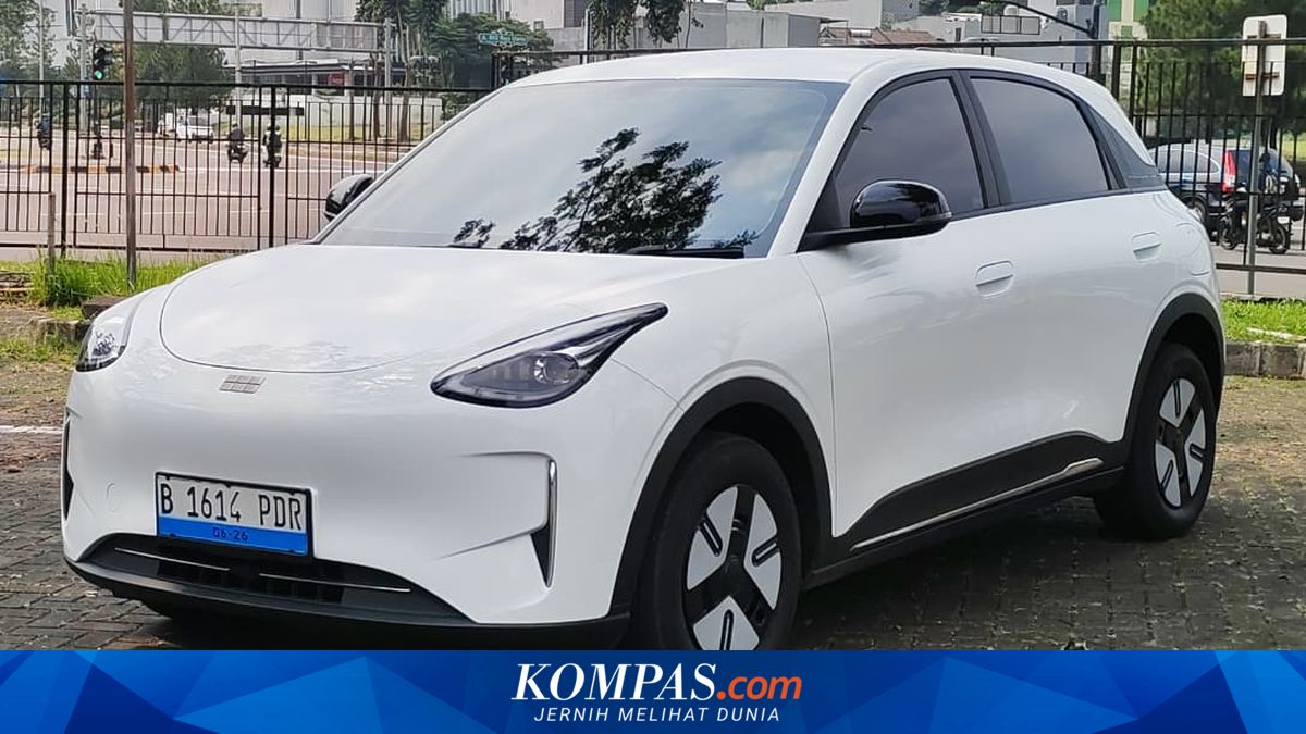 Geely EX2 Pro Features: Simple, Yet Functional