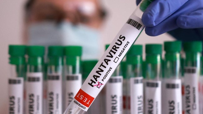 Hantavirus Rumours Emerge, Claiming Origin in Israel: Is This True?