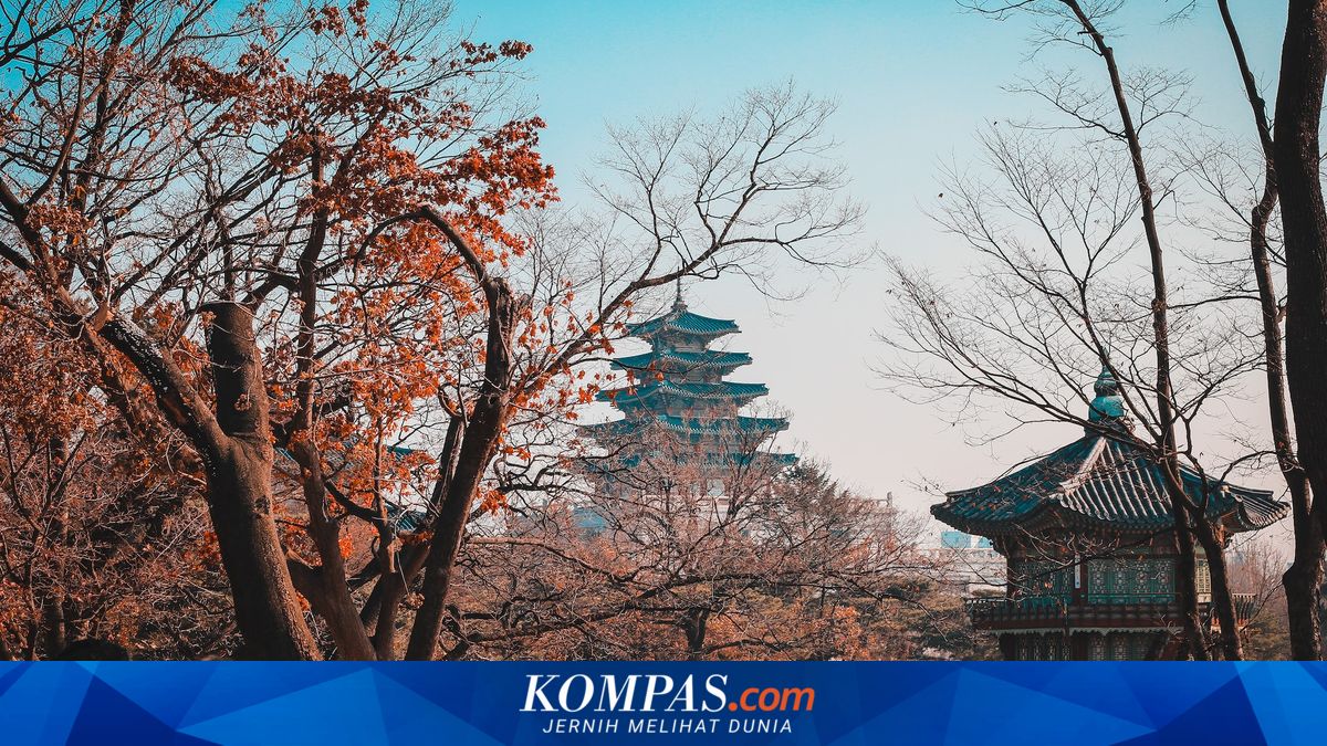 Return Tickets from Jakarta to South Korea Available for Just Over £1,000 in Latest Promotion