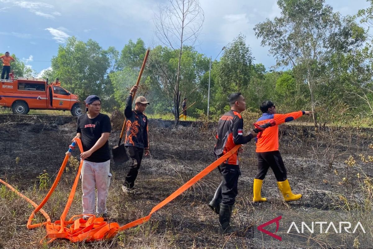 BNPB: Task Force Quickly Extinguishes Forest and Land Fires in Nunukan, North Kalimantan