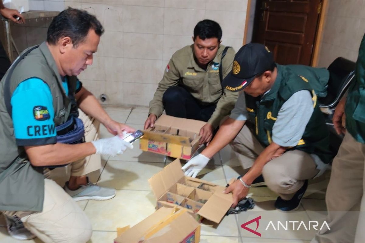 Joint team in Bali thwarts bird smuggling attempt