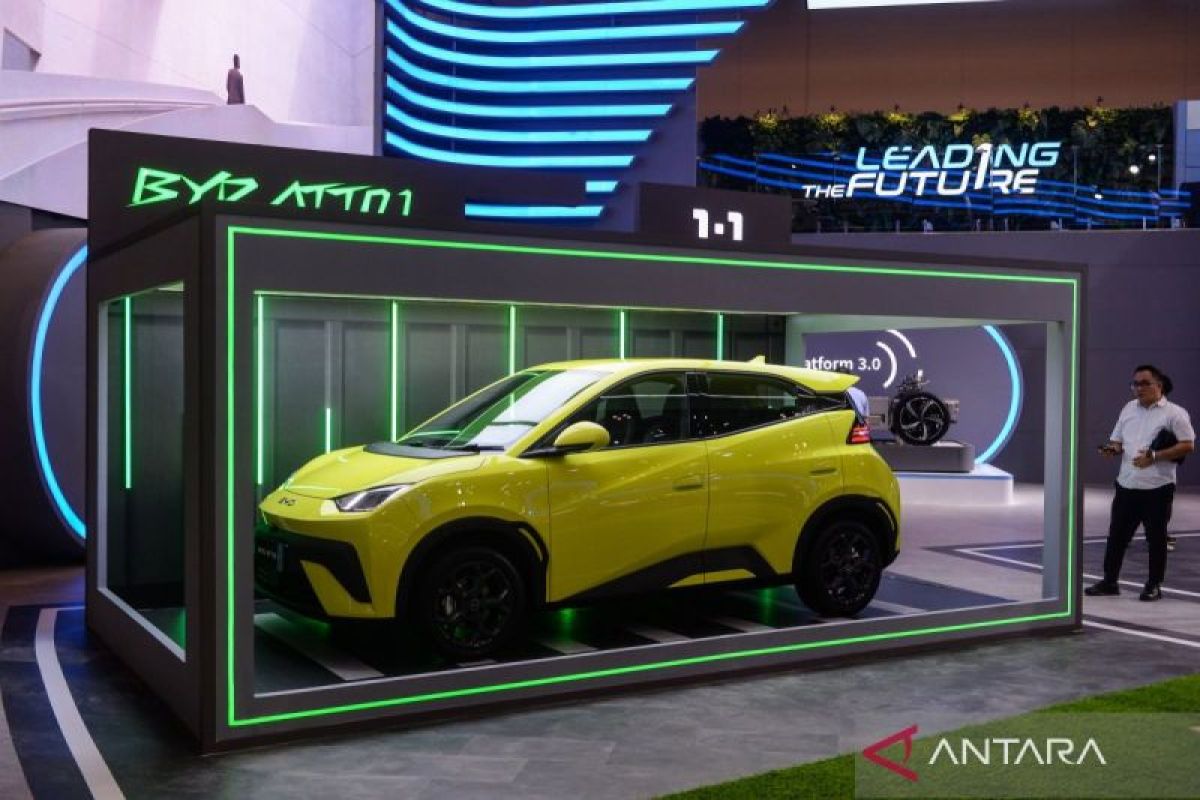 BYD adds variants and upgrades the Atto 1, what's new?