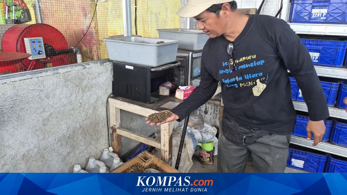 How Maggots are Transforming a Village