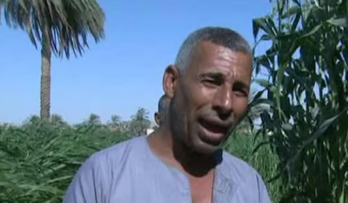 Iran War Impact: Egyptian Farmers Squeezed by Soaring Fertilizer and Energy Prices