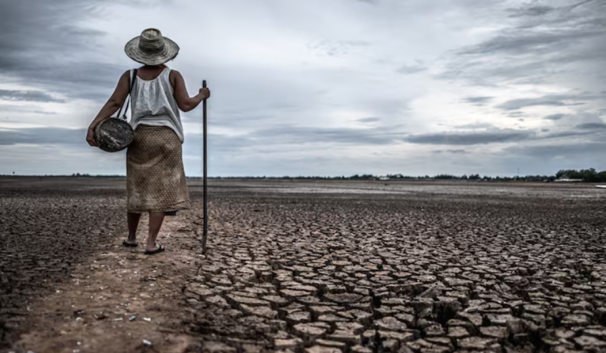 2026 El Nino Predicted to Arrive Earlier and Potentially Become a Super El Nino