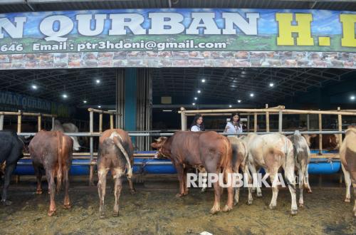 Sending Sacrificial Animals to Gaza: Is it Permissible? Here's the Islamic Ruling