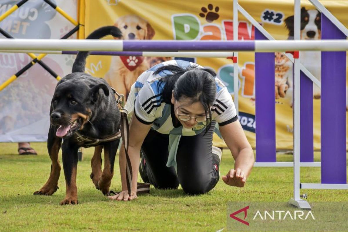 PawFest unites animal lovers through education, adoption, and competition