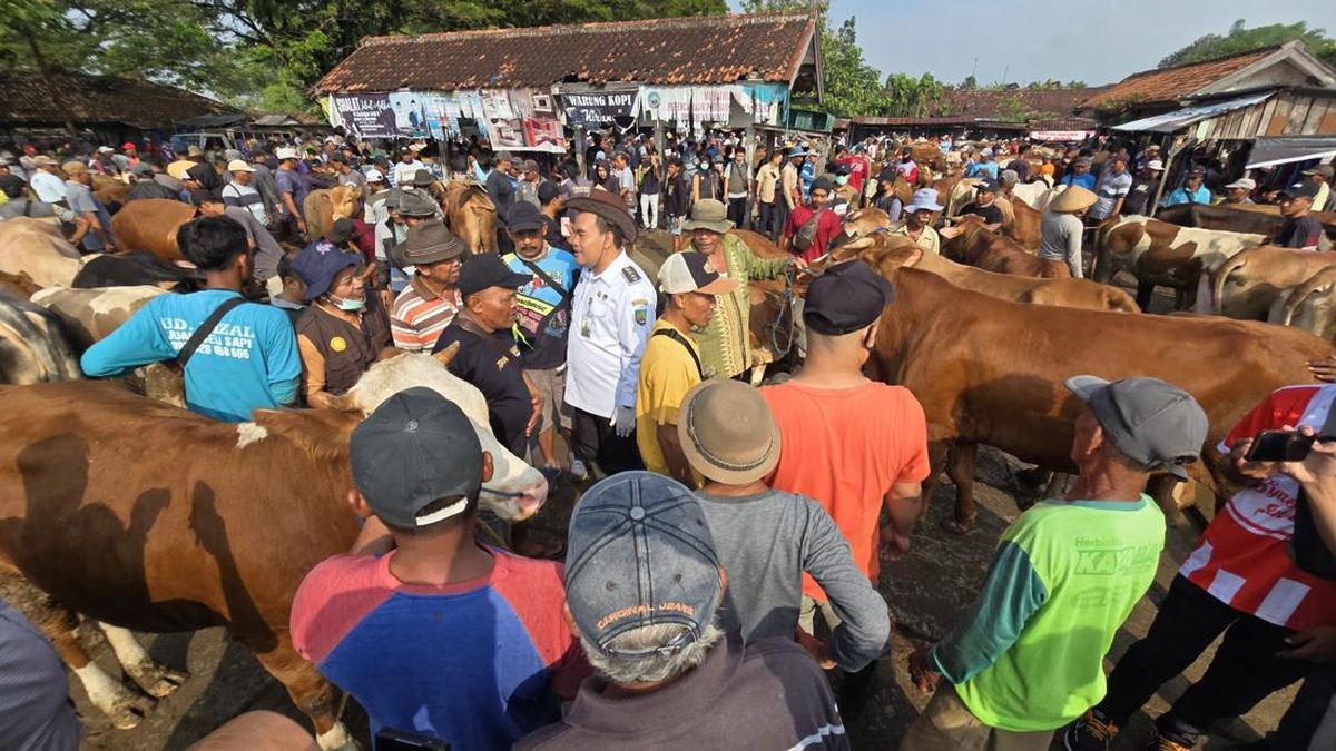 Blora Regent Monitors Livestock Trading Ahead of Eid al-Adha 2026