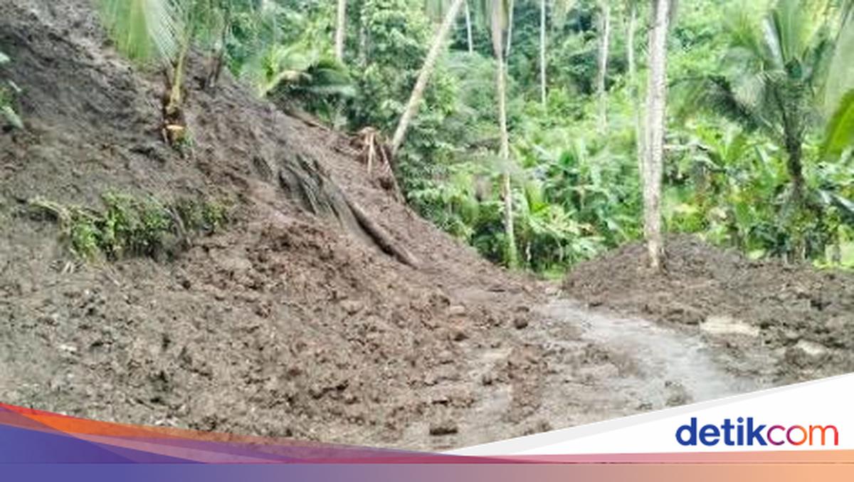 Heavy Rain Triggers Landslides and Fallen Trees in Karangasem