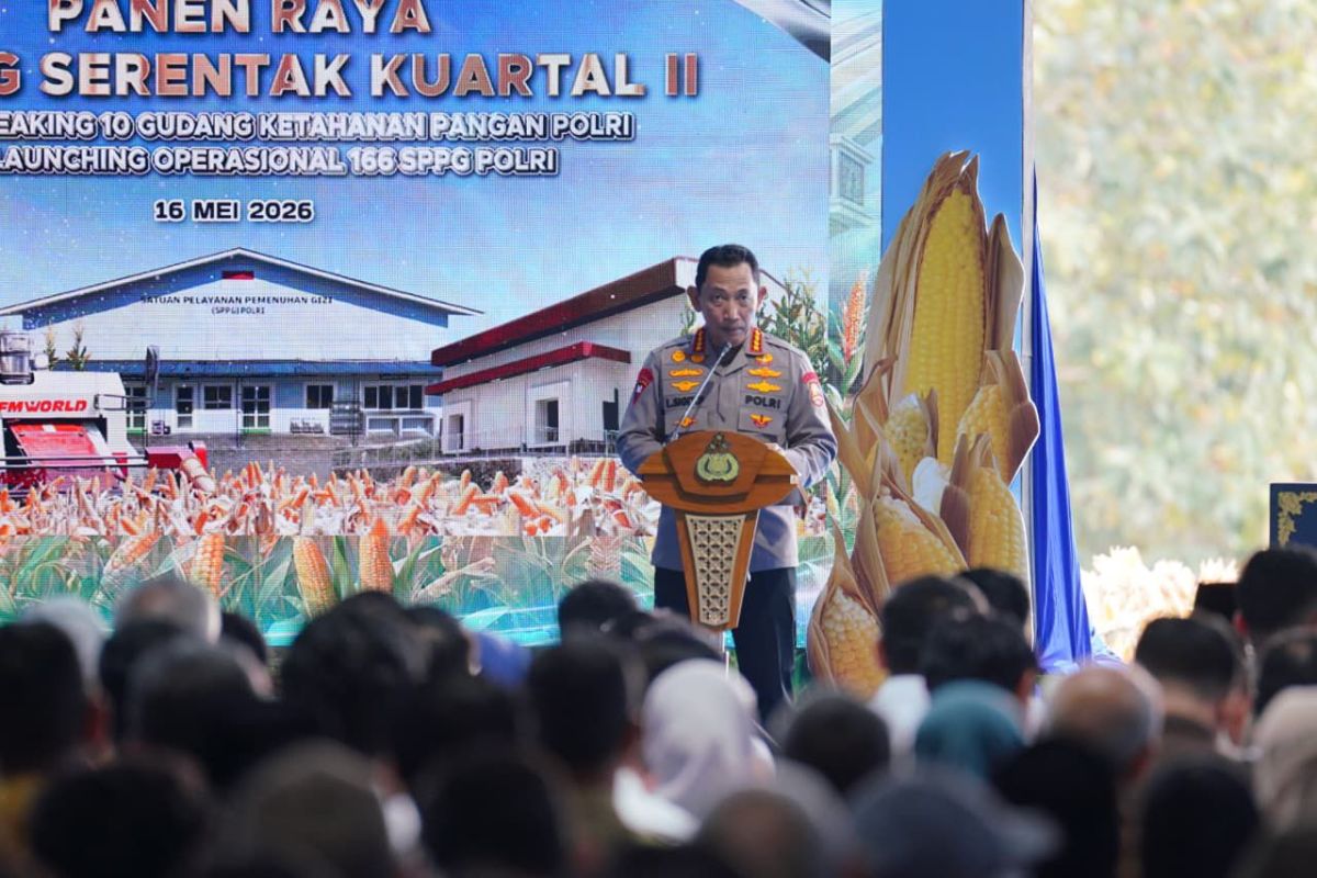 National Police Chief: Corn Harvest to Reach 3.9 Million Tons in 2025