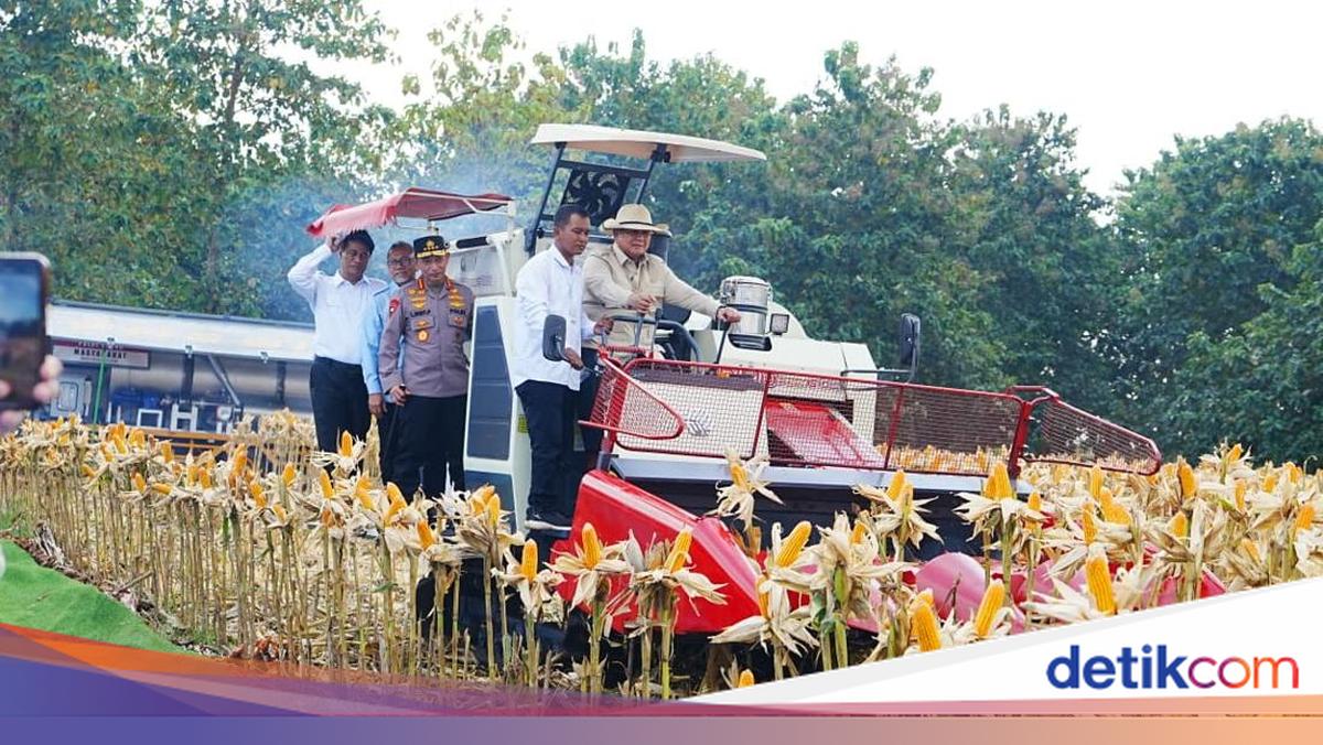 Prabowo Calls Corn Cob Charcoal Briquette Innovation by the Police a Miracle