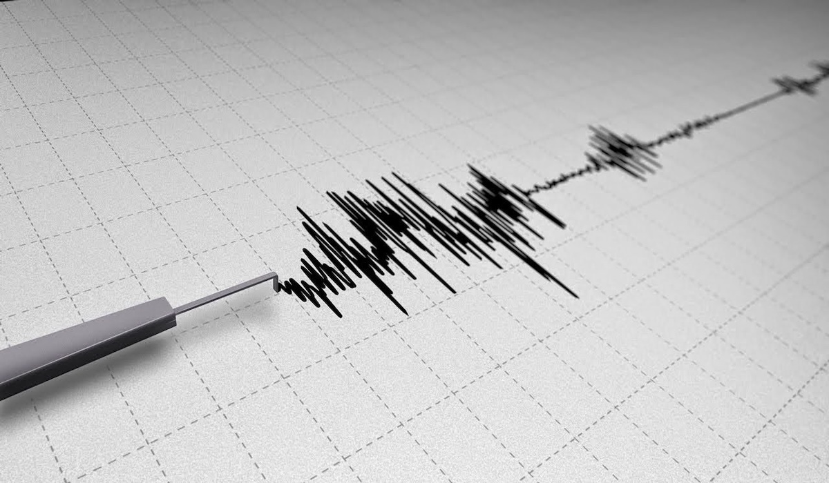 4.8 Magnitude Earthquake Shakes Sigi, Central Sulawesi, Due to Palukoro Fault Activity