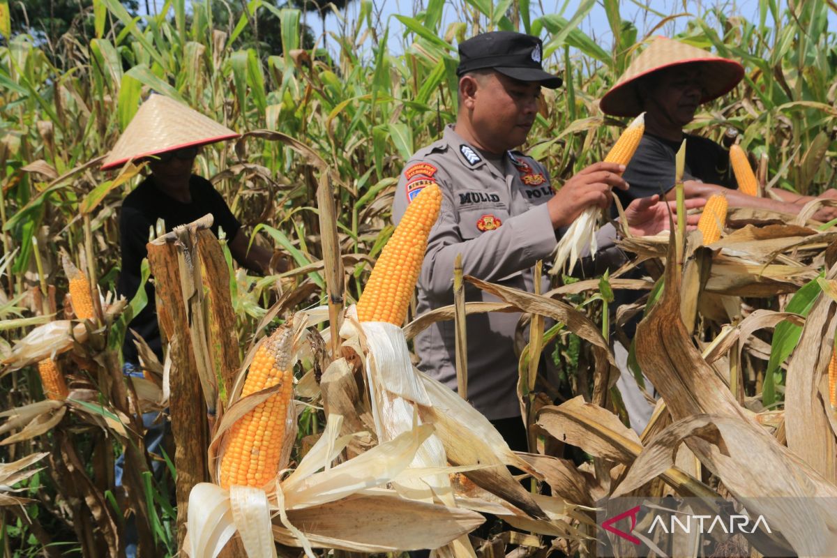 National Police Chief Outlines Innovations to Boost Agricultural Production