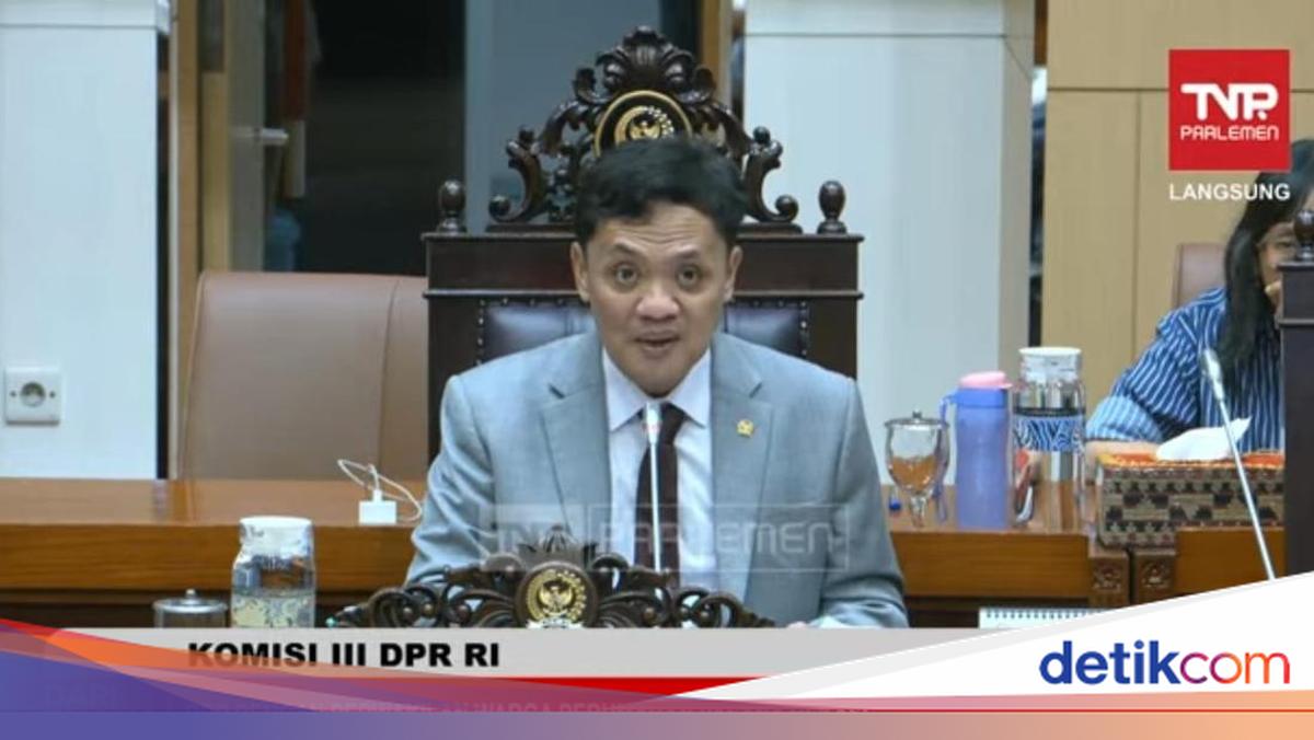 House of Representatives' Commission III deems report by Andre Taulany's ex-wife against former domestic worker under Personal Data Protection Law inappropriate